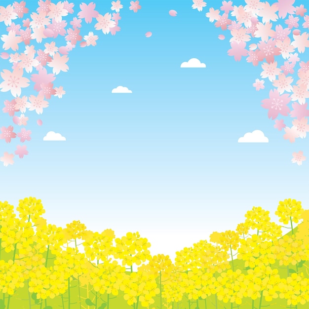 桜と菜種の花の春の風景イラスト