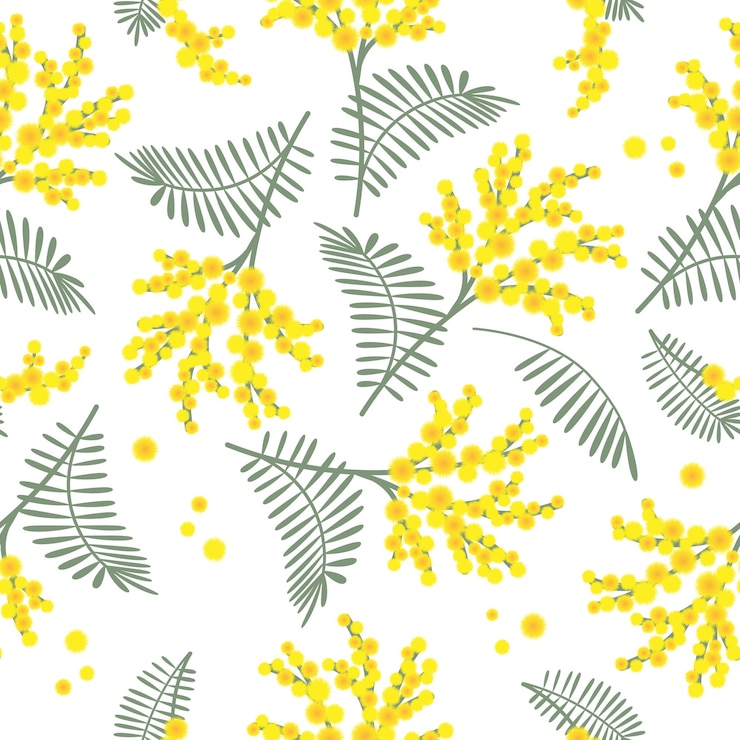 Vector spring seamless pattern with mimosa flowers on white background great for fabrics