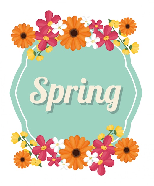 Vector spring season design