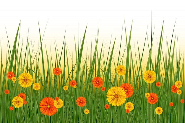 봄 또는 여름 배경, 꽃과 잔디, 일러스트와 함께 화창한 날. 봄 잔디와 초원 꽃 부활절 장식 요소