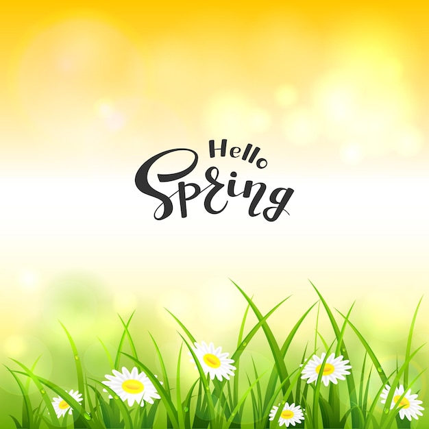 봄 또는 여름 자연입니다. 방울과 꽃과 잔디입니다. 주황색 하늘 배경, 삽화에 Hello Spring 레터링.