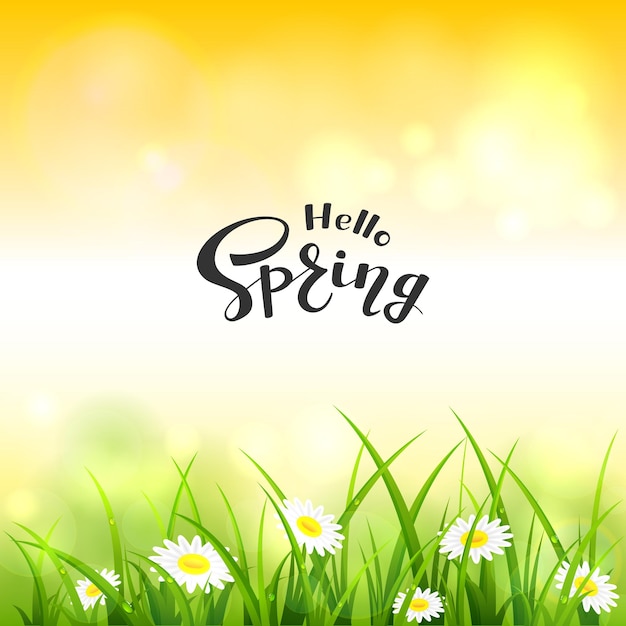 Spring or summer nature. flowers and grass with drops. lettering hello spring on orange sky background, illustration