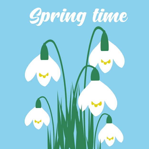 Vector spring time blooming snowdrops flowers in blue background spring beautiful wildflower