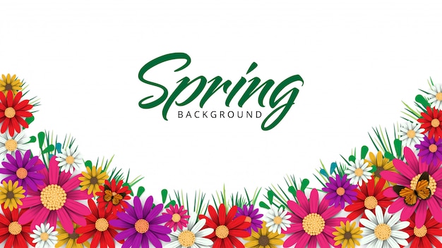 Spring time flowers background