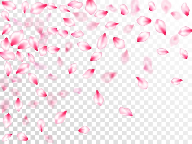 Vector spring tree flowers parts airy flying petals