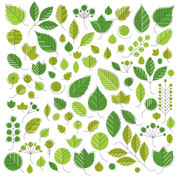 Весенние листья деревьев, ботаника и эко-плоские изображения. Векторная иллюстрация трав, коллекция природных и экологических элементов могут быть использованы в веб-дизайне.