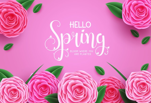 Spring vector background. Hello spring typography text with beautiful rose flower element.