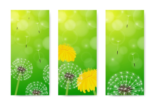 Spring vertical banners with dandelions set