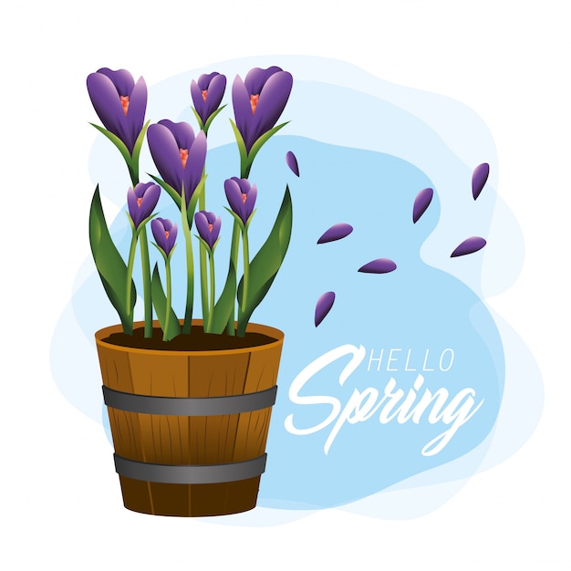 Vector spring with exotic flowers plants and leaves inside flowerpot