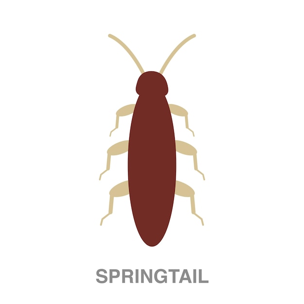 Springtail illustration on transparent background