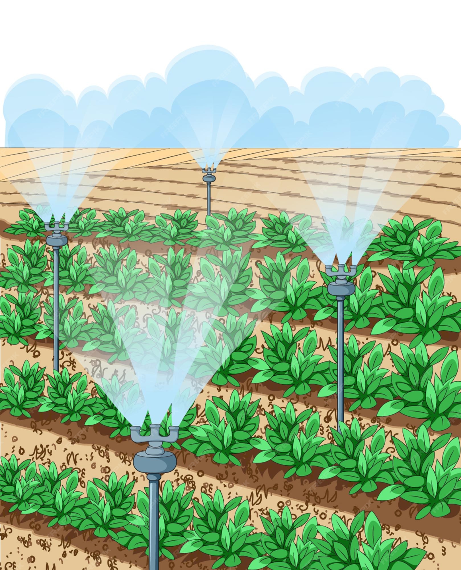 Premium Vector Sprinkler irrigation in field