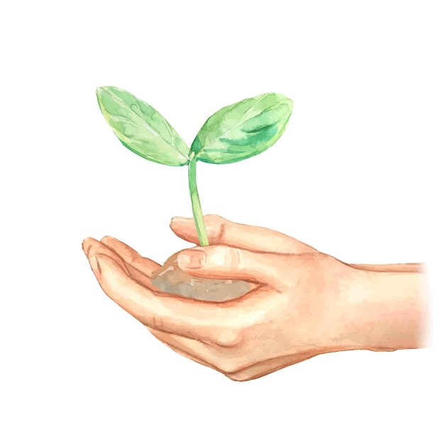 Vector sprout in hand watercolor illustration