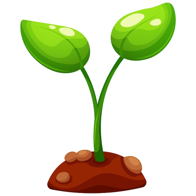 Vector sprout of plant small plant with piece of earth in cartoon style