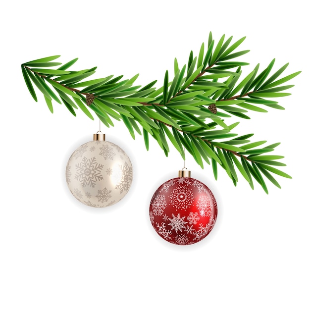 Spruce branch fir with christmas ball. 