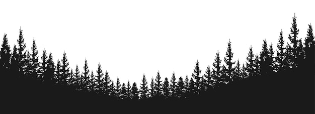 Spruce fir forests pine tree silhouettes