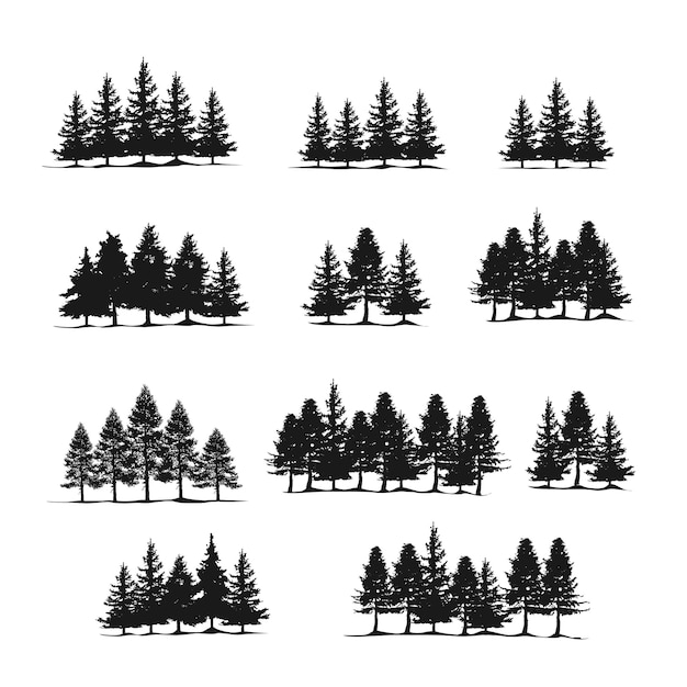 Spruce fir forests pine tree silhouettes