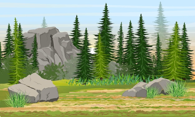 トウヒの森、石と山、草