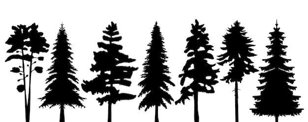 Spruce silhouette pine trees set design vector isolated