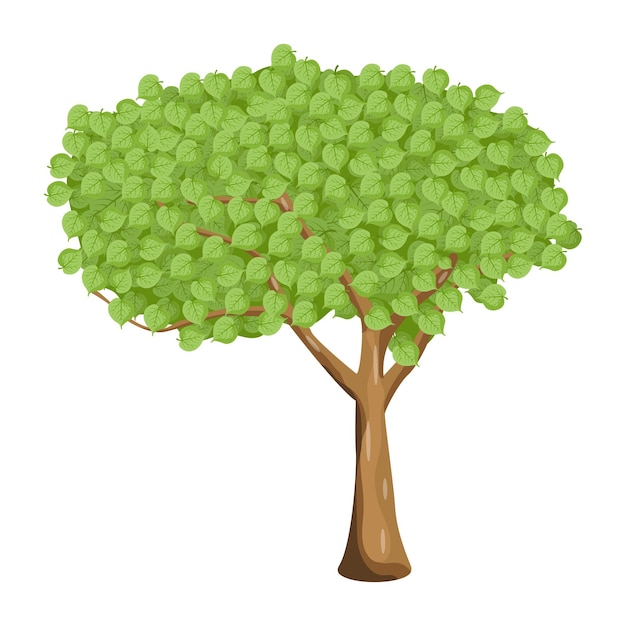 A spruce tree flat illustration vector