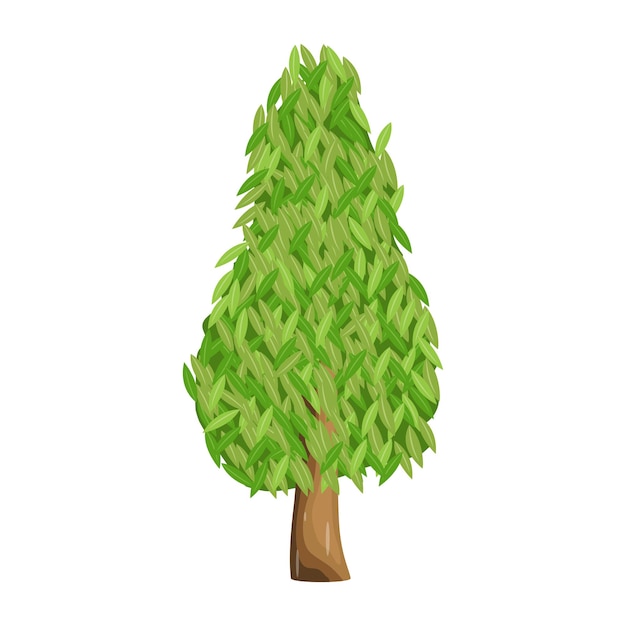 A spruce tree flat illustration vector