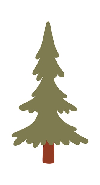 Vector spruce tree plant