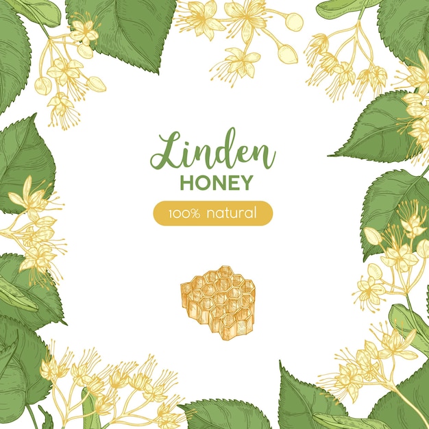 Square banner template decorated with honeycomb and frame or border made of linden flowers, leaves.