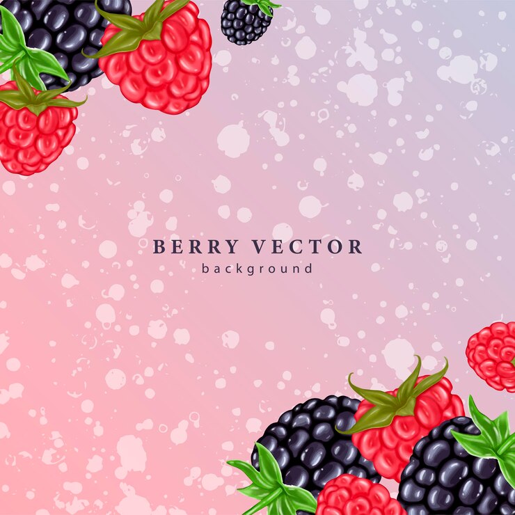 Vector square berry juicy background with raspberries and blackberries