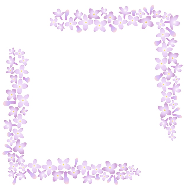 Vector square border spring lilac flowers elegant wedding vector background