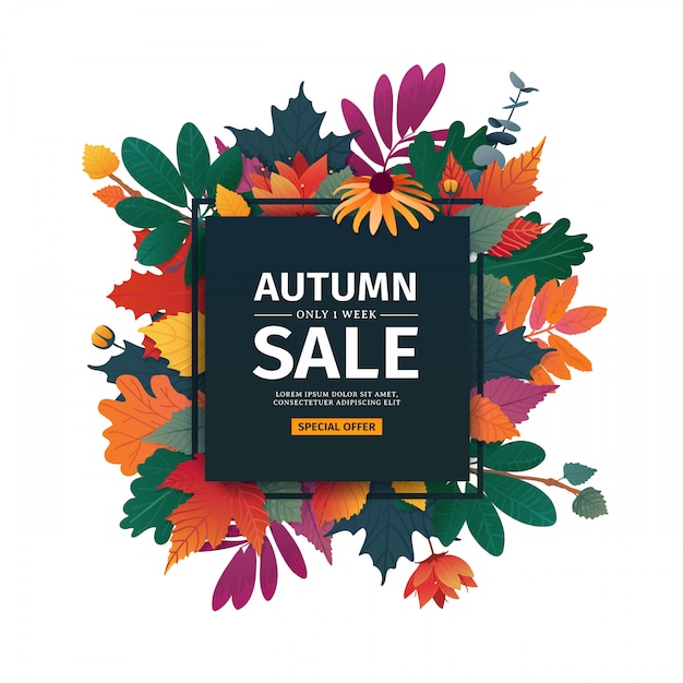 가을 판매 로고와 사각형 디자인 배너입니다. 흰색 프레임과 허브가있는 가을 시즌 할인 카드.
