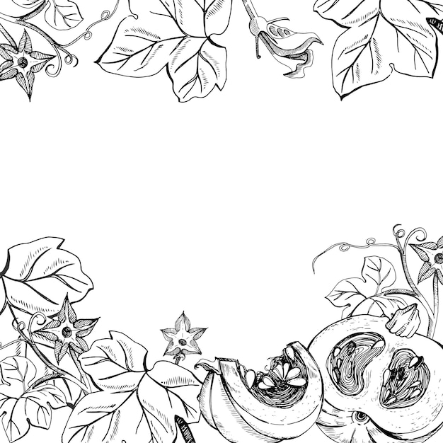 Vector square frame on an autumn theme pumpkins and pumpkin leaves hand drawn in graphics