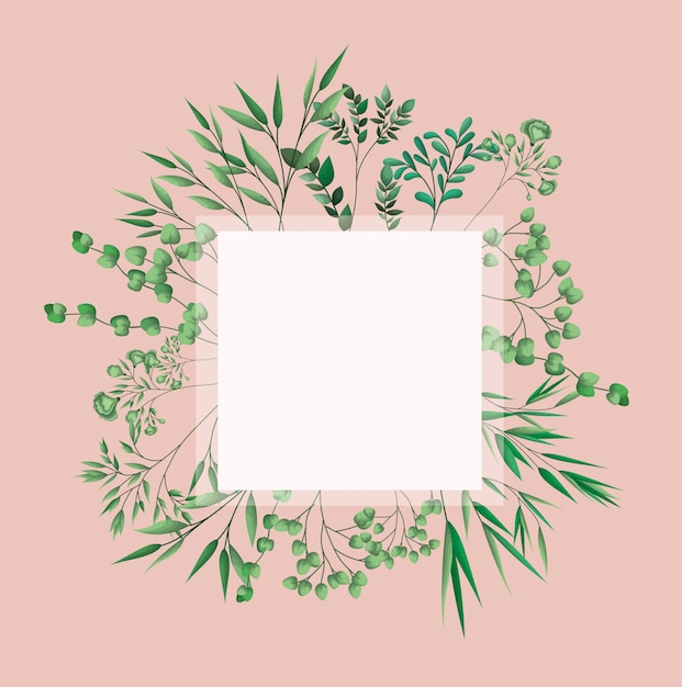 Vector square frame with laurel leafs