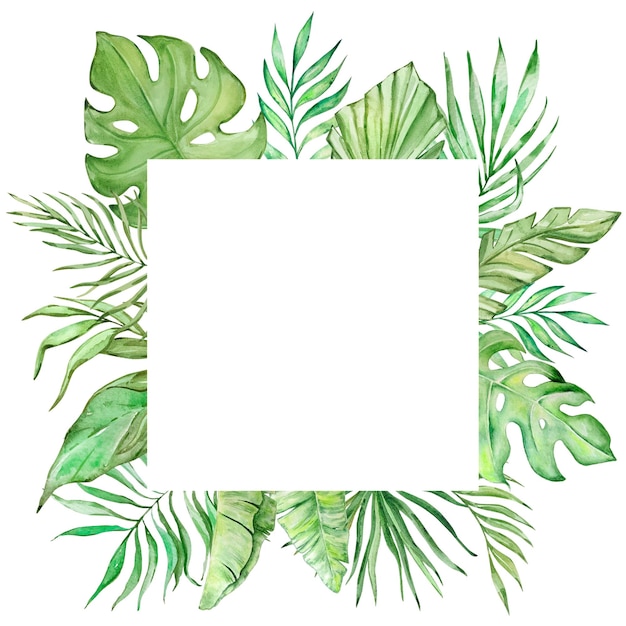 Vector square frame with watercolor tropical leaves