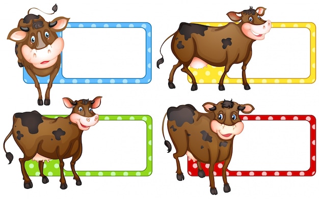 Square labels with brown cows