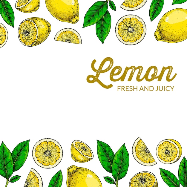 Square lemon background Hand drawn colorful vector illustration in sketch stile