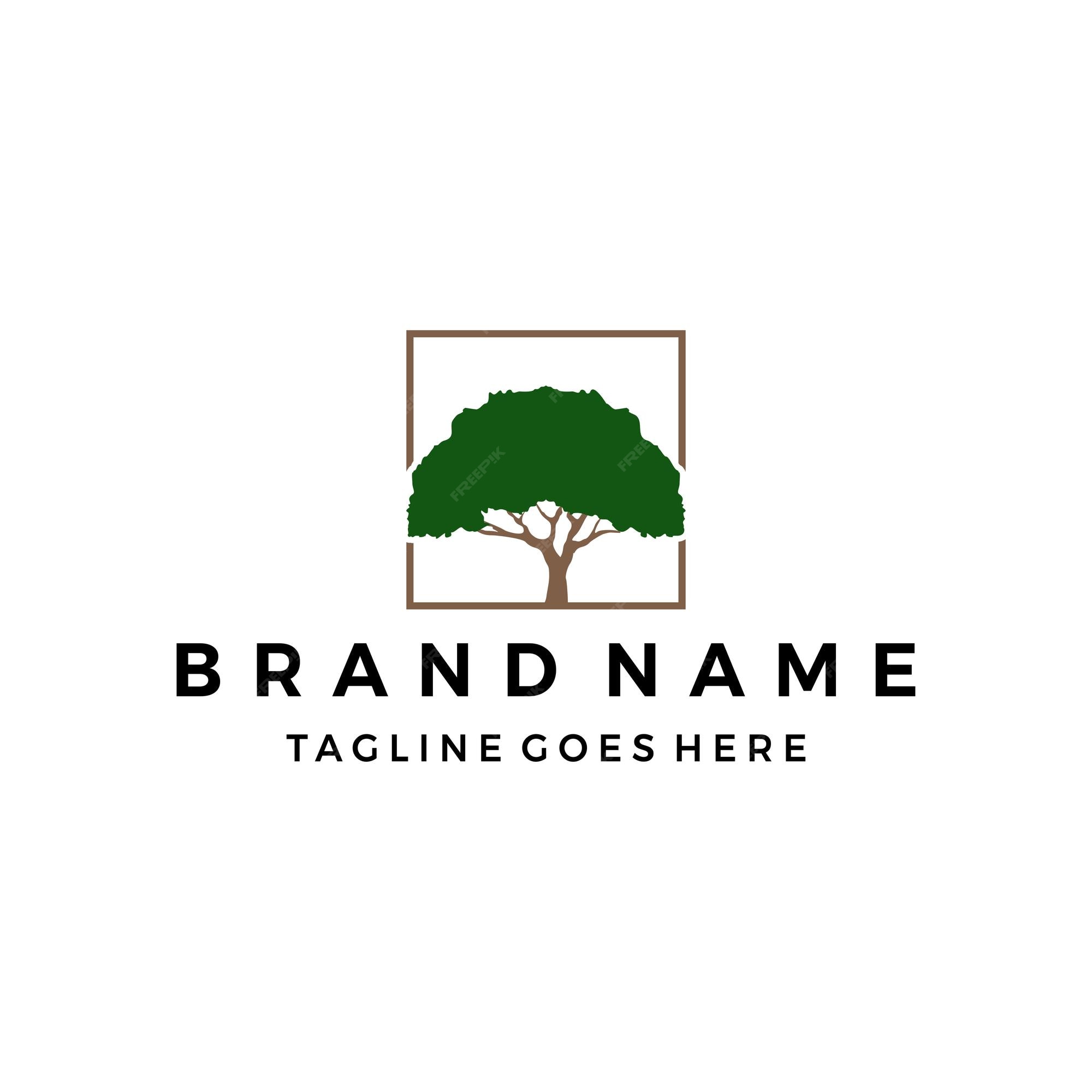 Premium Vector | Square oak tree logo oak tree logo vector template ...