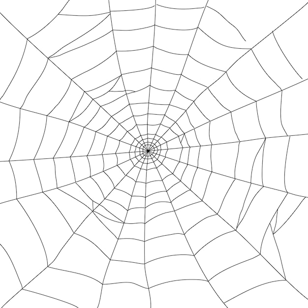 Vector square spiderweb element