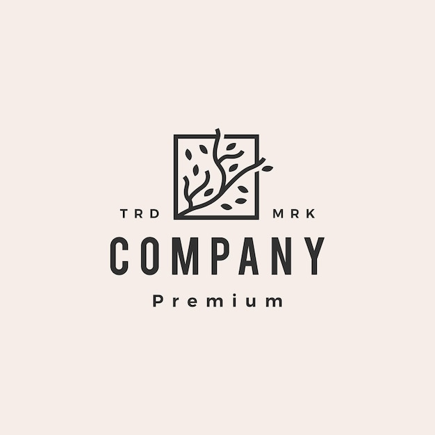 Square tree branch leaf hipster vintage logo template