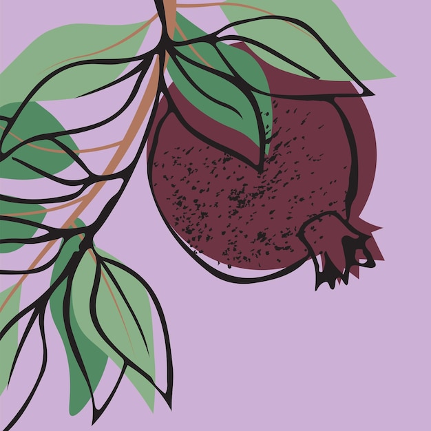 Вектор Квадратная векторная иллюстрация с ветвями гранатового яблока, листьями и фруктами