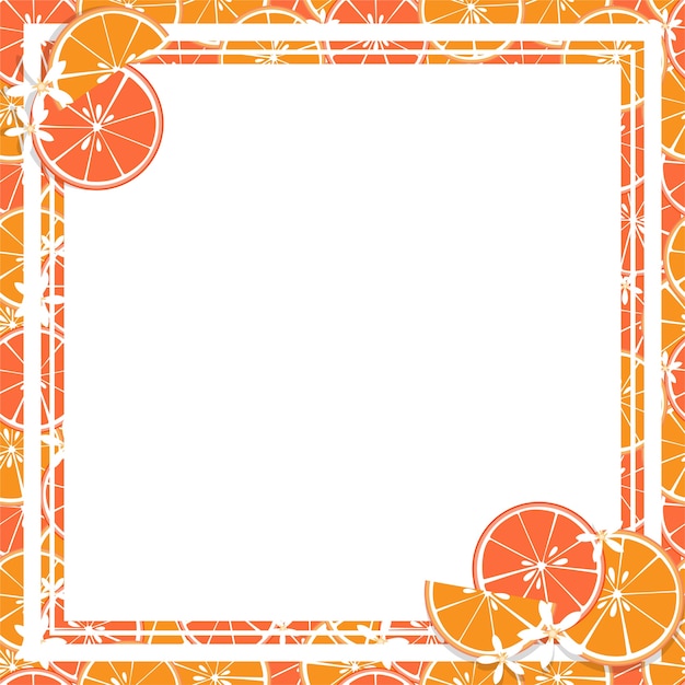 Vector square white frame and rectangle label on citrus fruit background