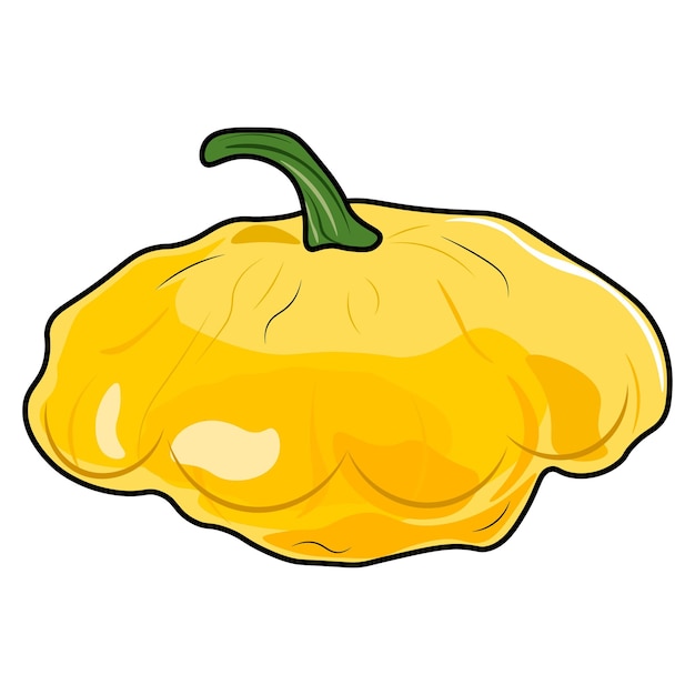 Squash illustration isolated on white background