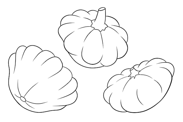 Squash set Fresh squash Coloring book In line style Vector illustration for design and decoration