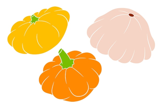 スカッシュセット新鮮なスカッシュイエローオレンジとベージュ漫画のスタイルでデザインと装飾のベクトル図