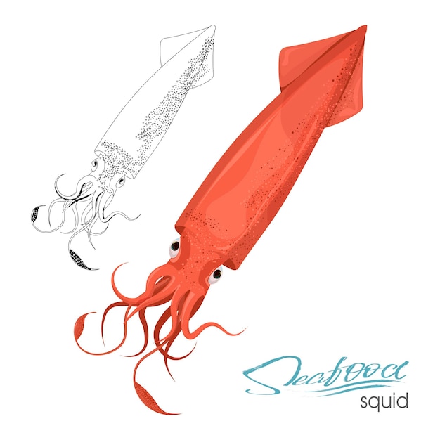 Calamaro di colore rosso design piatto calamaro rosso con tentacoli frutti di mare commestibili