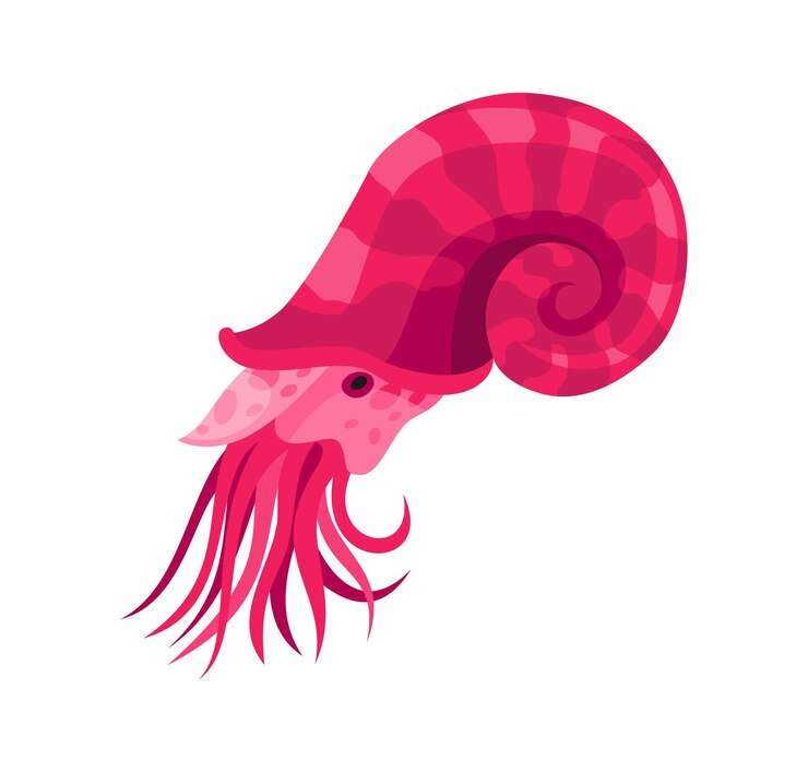 Vector squid - sea and ocean animal. fauna character in flat cartoon style. vector cute colorful object isolated on white background.