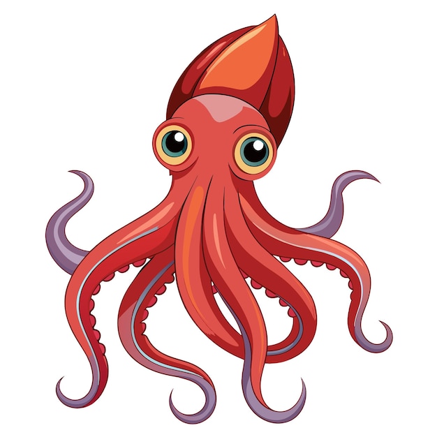 squid vector on isolated white background