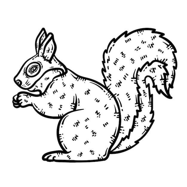 Vector squirrel animal coloring page for adult