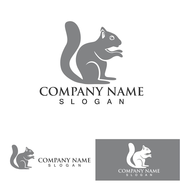 Squirrel animal sign icon vector