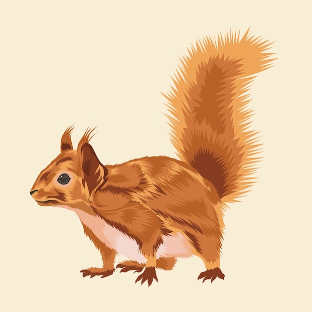 Squirrel animal vector