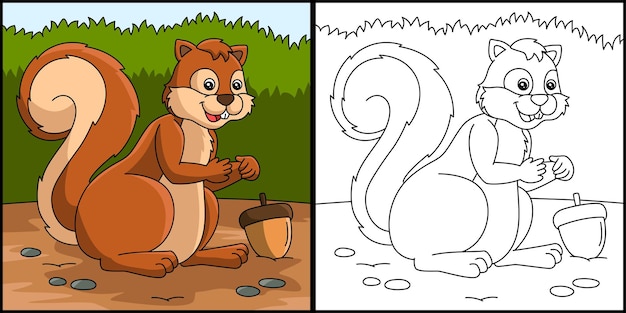 Vector squirrel coloring page colored illustration