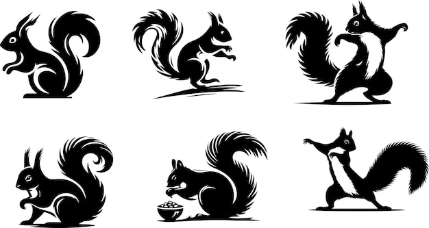 squirrel design vector silhouette 3